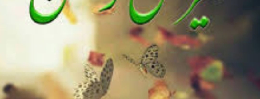 Meri Dulhan Urdu Novel | Complete Romantic Story PDF