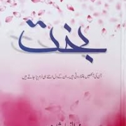 Bakht Novel By Mehrulnisa Shahmeer